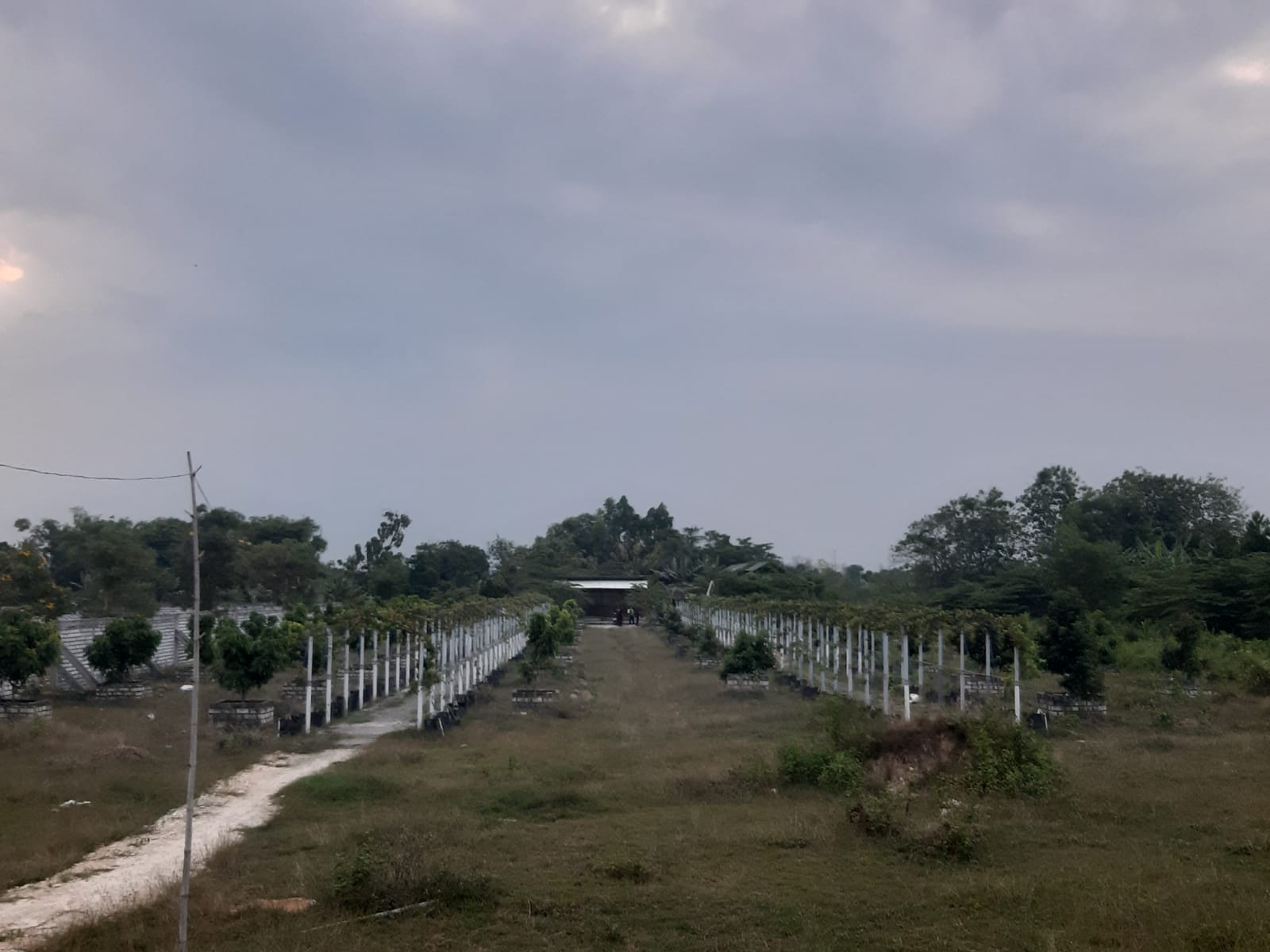 Foto Lokasi 2